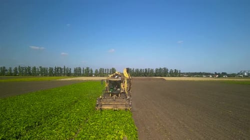 Agriculture - Flying Over the Sugar Beet Field