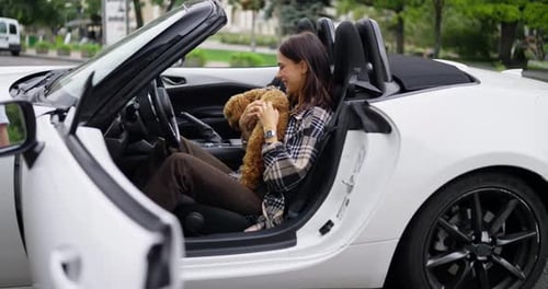 Woman Petting Poodle in a Convertible Car