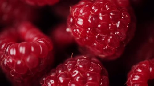 Close Up of Rotation Scarlet Raspberry