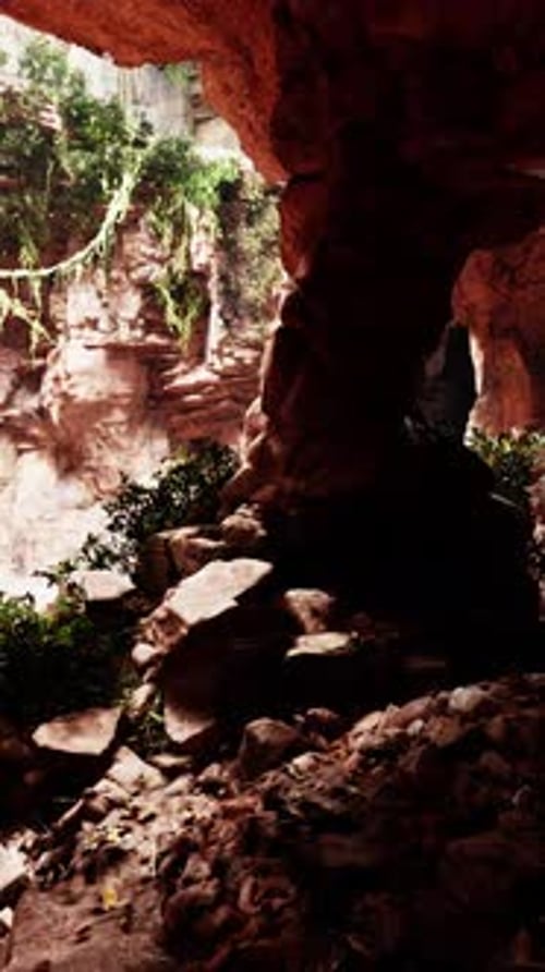 A Natural Cave with Stunning Rock Formations and Lush Vegetation