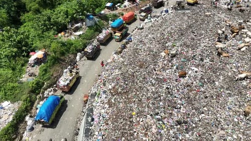 Aerial view of a city dump center full of trash. Herd of cows eating garbage in a landfill.