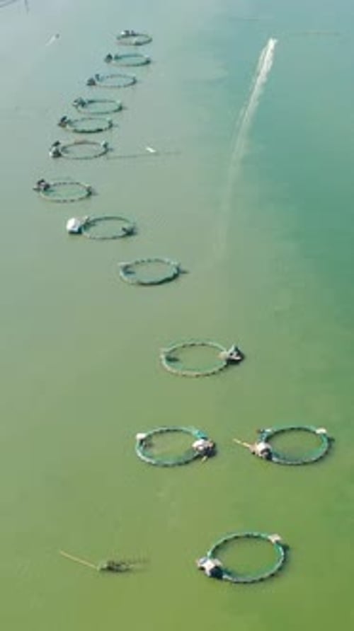 Fish Farm with Cages Philippines