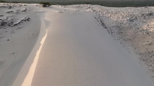 Belleza tranquila