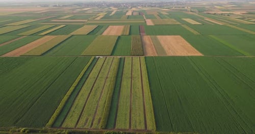 Aerial View of Expansive Farmland