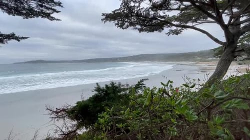 Destino de viaje que admite mascotas. Carmel by the Sea, California (EE. UU.).