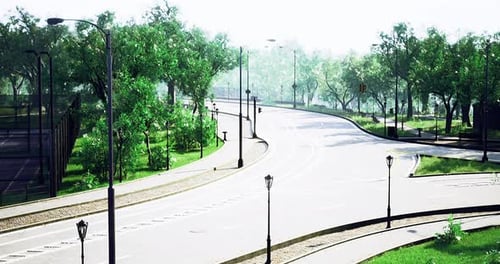 Tree Lined Road in a Serene Park Environment During Daylight Hours
