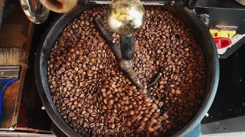 Coffee Beans Roasted in Machine Drum
