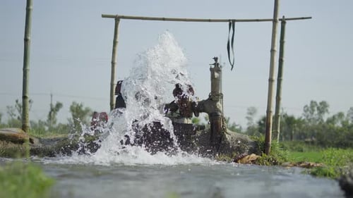 Water flushing from a water pump in paddy field- paddy field water pump running- Pumping water into