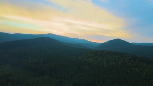 Dark Mountain Hills Covered with Forest Pine Trees at Autumn Sunrise Beautiful Wild Woodland at Dawn