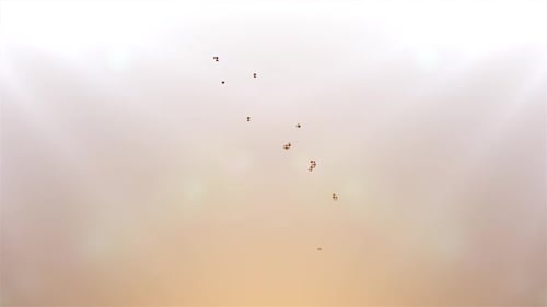 Elegant Light Reveal Transition