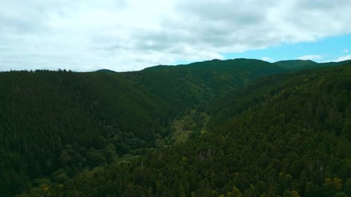 Top View of Beautiful Mountain Landscape with Forest Green Valley Clip Dense Vegetation of Green