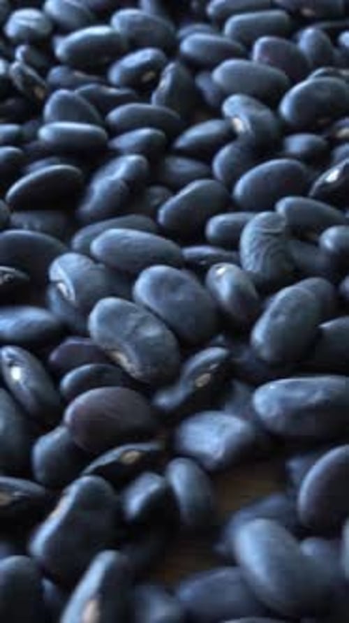 Vertical View Pile of Black Beans 04