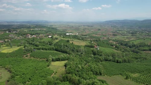 Green Countryside Aerial View