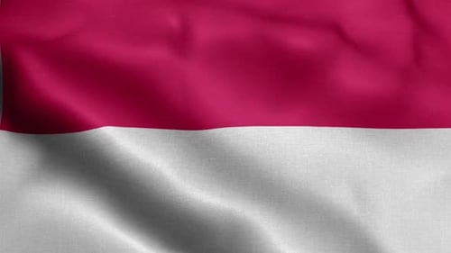 Realistic Fabric Waving Flag Animation