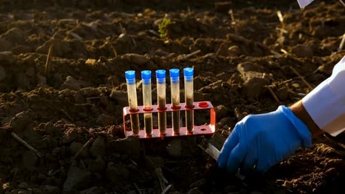 Field Soil Samples for Analysis Selective Focus