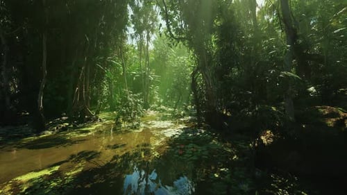 Espace ouvert lumineux avec sentier de zone humide étroit et eau scintillante
