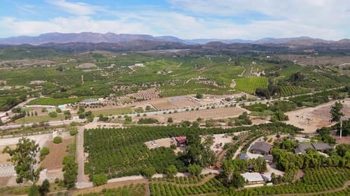 Expansive Aerial View of Lush Green Farmland with Trees Fields and Rolling Hills Under a Blue Sky