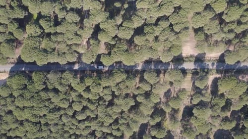 Overhead view of a white campervan making a turn on a road in the forest of Huelva