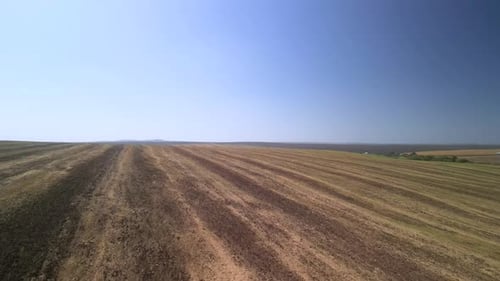 Tractor working on the field doing tillage with cultivator