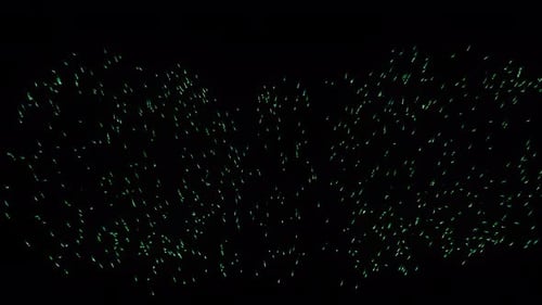 Fireworks on the sky 20