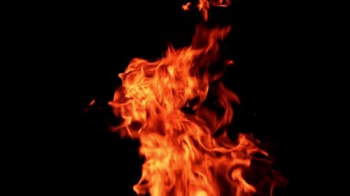 Bright Orange Flames Dancing Against Black Background