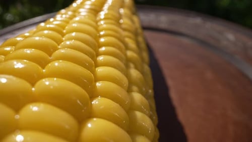 Fresh Corn on the Cob Close-Up