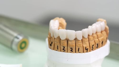 False Teeth Mold with White Prosthetics