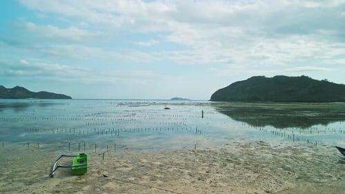 Terre indonésienne, là où les océans se rencontrent, les plantations d'algues prospèrent, un exploit grandissant