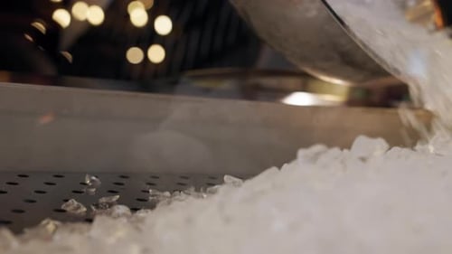 Restaurant Worker Scooping Ice into Container