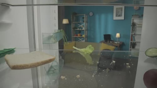 Empty Refrigerator with Bread, Lettuce, Cucumber, Grape
