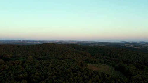 Forêt verte aérienne