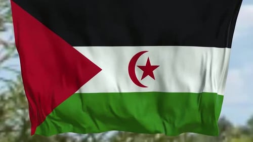 Western Sahara Waving Vertical Flag