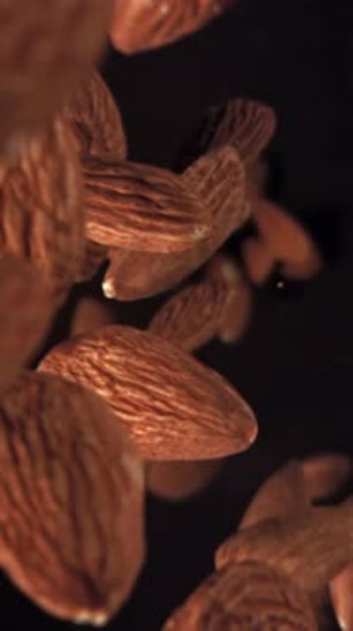 The Almonds Fall Down Filmed on a Highspeed Camera at 1000 Fps