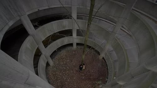 Lifestyle Portrait of Two Young Women Watching Tower Building Together