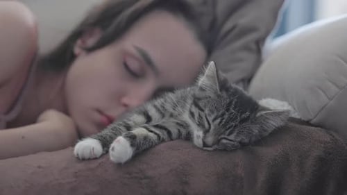 Woman Sleeping Peacefully with Kitten Resting Nearby