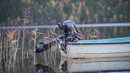 Dry Reeds With Engine Of Motorboat On The River In Norway. wide shot