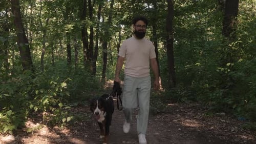 Man Walks Dog In Forest