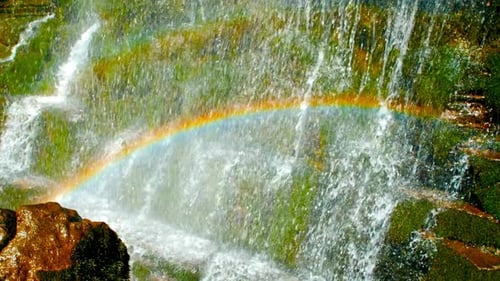 Water Drop Falling