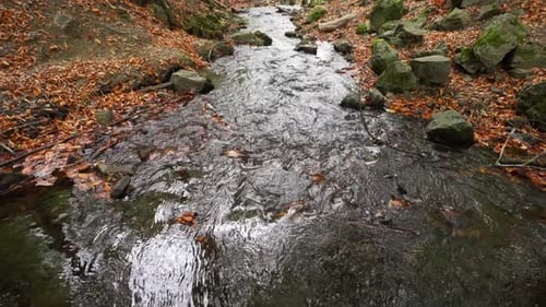 Rio pequeno