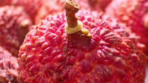 A vibrant close-up showcases lychee fruits.