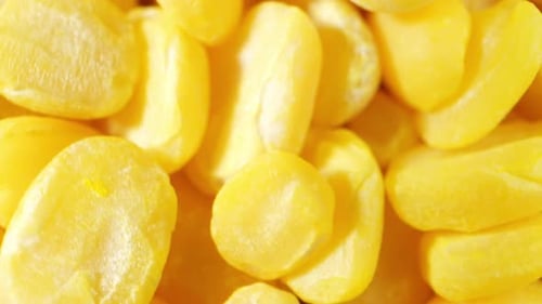 Frijoles mungos pelados, capturados a través de una sonda.