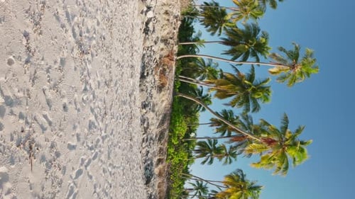 Walking in First Person at Tropical Beach with Coconut Palms on Sunny Day Vertical Footage