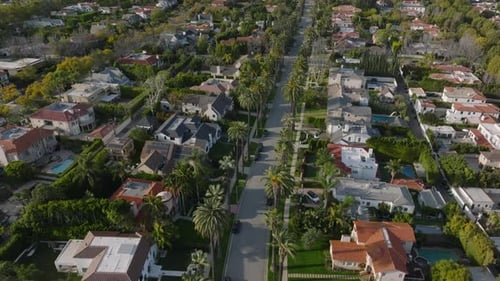 Blick aus der Vogelperspektive auf die von hohen Palmen gesäumte Straße, Residenzen in einer luxuriösen Wohngegend