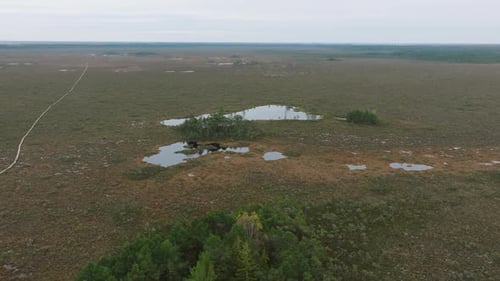 Beautiful establishing aerial birdseye view of bog landscape with lakes on an overcast autumn day, D