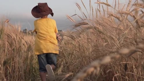 A kid running in a wheat field