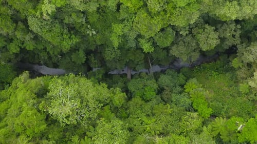 Aerial Shot Of Cascade Waterfall In Beautiful Green Jungle Landscape