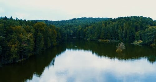 aerial view beautiful panorama of a lake surrounded by trees on a background hill covered with fores