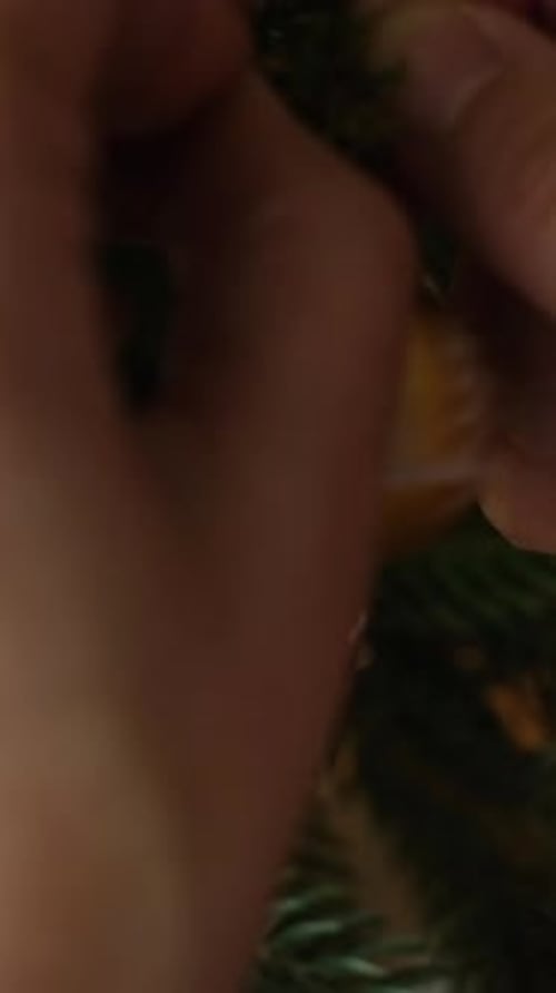 Hanging Holiday Ornament on Lit Christmas Tree Branch