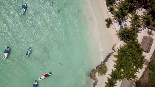 Aerial Top View of Tropical Island Paradise