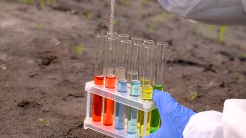 Soil Scientist Extracting Samples for Analysis